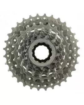 Zahnkranz Schraubkranz WAG 8-fach 13-32 Zähne silber